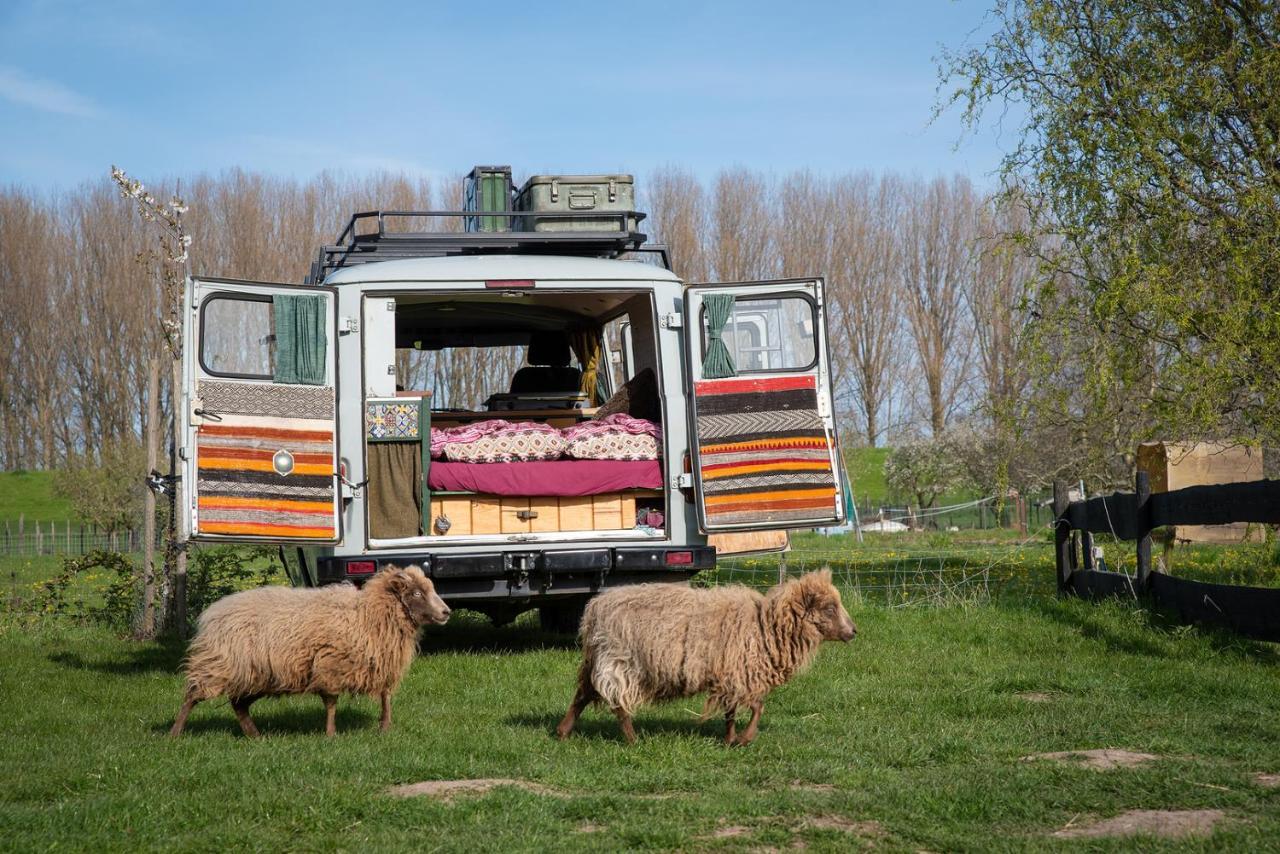 Hotel Slapen Tussen De Schapen In De Tante Tipi Zennewijnen Exterior foto