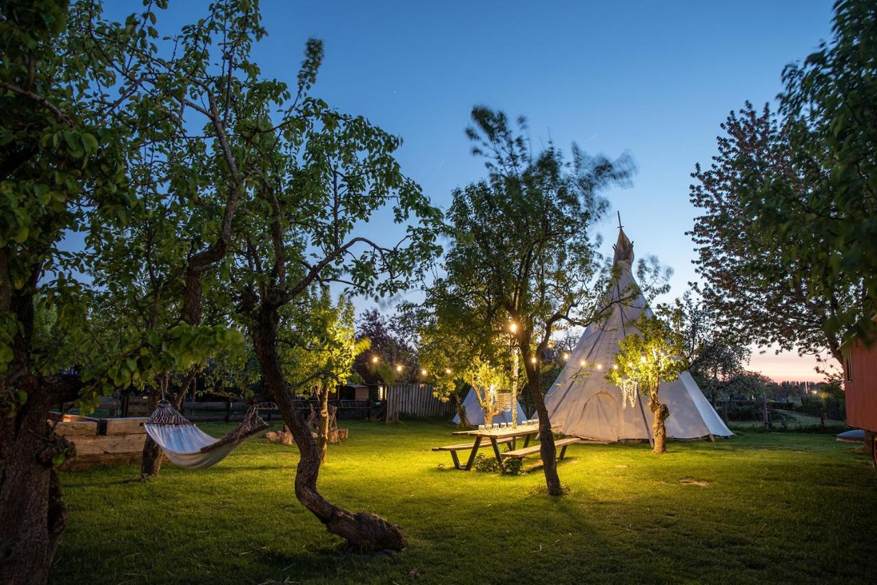 Hotel Slapen Tussen De Schapen In De Tante Tipi Zennewijnen Exterior foto